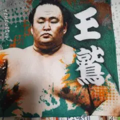 Item thumbnail for item 046a61fa-404f-4db4-9446-375335e7dec9