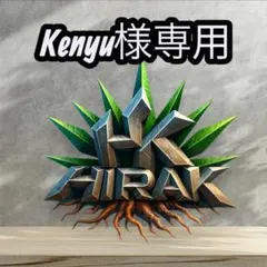 Kenyu様専用