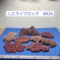 【送料無料】人工ライブロック　PHR14／14穴加工　アク抜き済み安心塗料使用 送料無料】人工ライブロック PHR14／14穴加工 アク抜き済み安心