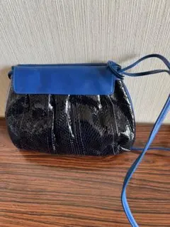 Item thumbnail for item 055b1b6d-9572-484c-ac8e-2cabfdb608c4