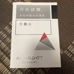 2026年最新】重要問題習得講座の人気アイテム - メルカリ