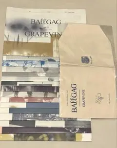GRAPEVINE会報 ボールギャグ vol.82-97 ブックカバー セットのサムネイル