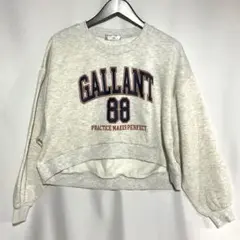 Item thumbnail for item 5a8daaeb-fe74-48e2-abac-97a735f8461a