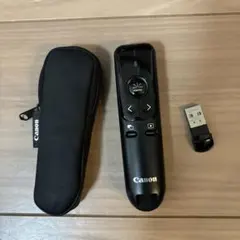 Item thumbnail for item 17c45716-8589-498f-8431-8d3b46611ea7