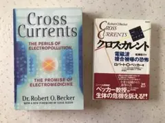 Cross Current クロスカレント