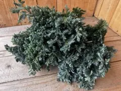 ＊kaede＊様 リクエスト 4点 まとめ商品