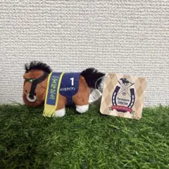 Item thumbnail for item 5fb43caf-d3e3-41a0-93d5-c9744e6dbec6