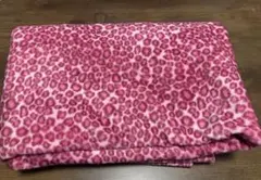 Item thumbnail for item 2c72a7ca-dadf-4b90-947b-50e3247b4375