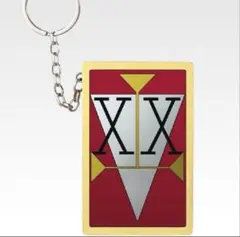 ダブルハンターライセンス　HUNTER×HUNTER