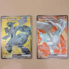 ゼクロムex　SR　レシラムex　SR　2枚セット　ブラックボルトホワイトフレア