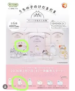 【3/7発売スタート商品】うちの子のけだまだま　ブラインドBOX版　シャム