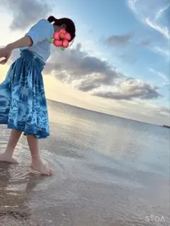 パウスカート ➕ケース