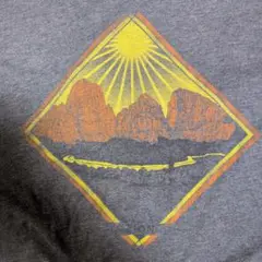 Meridian Line グレー Tシャツ Lサイズ