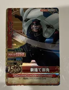 ワンピーベリーマッチダブル シリュウ