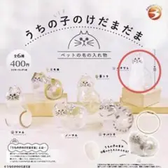 うちの子のけだまだま　ハチワレ　ガチャ