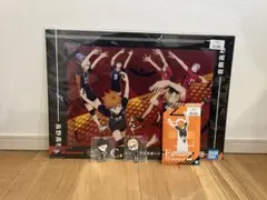 【新品/未使用】一番くじ ハイキュー‼︎ゴミ捨て場の決戦 C賞 E賞 その他