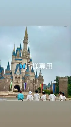 専用