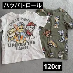 パウパトロール　Tシャツ 2枚セット　120㎝