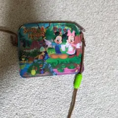 東京ディズニーランド スプラッシュマウンテン パスケース