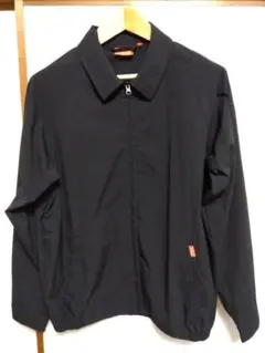 Item thumbnail for item 1372e45e-ae74-4ec4-986b-f3bb20a85788