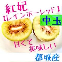 ✳️ビタミンC豊富　紅妃【レインボーレッド】　中玉　15個