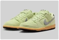 Nike SB Dunk Low Pro Verdugo Mountain