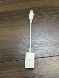 Apple純正USB-C - USBアダプタ ​​​​​​​MW5L3AM/A