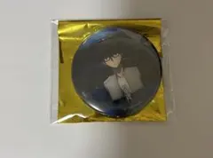 2026年最新】月姫 缶バッジの人気アイテム - メルカリ