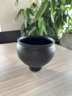 鈴木環　ポット　ピジョンM 食器　湯呑み　安藤雅信　ハグオーワー雅姫　アスティエ Amazon.co.jp: 鈴木環 ポット ピジョンM 食器 湯呑み 安藤雅信