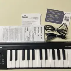 Item thumbnail for item 92e0cbca-5071-4596-a09f-3b759f3c691a