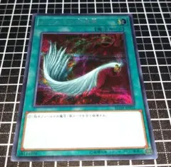 【極美品】ハーピィの羽根箒 Amazon.co.jp: 遊戯王カード ハーピィの羽根帚(ウルトラレア