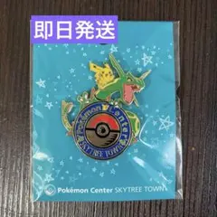2025年最新】ポケモンセンター ピンバッジの人気アイテム - メルカリ