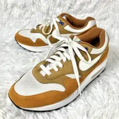 【極美品】NIKE AIR MAX 1 PREMIUM RETRO ナイキ 25