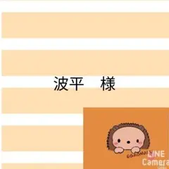 波平様 リクエスト 2点 まとめ商品