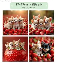 2026年最新】チワワパネル生地の人気アイテム - メルカリ