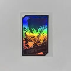 ヒロアカ ホロカードコレクション 轟焦凍