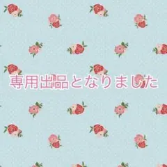 【★専用出品】■直接引き取り限定出品中■様