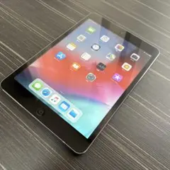 iPad mini2 32GB WiFi SpaceGray 中古