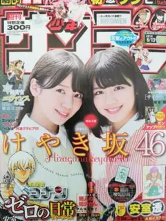 Item thumbnail for item 79391504-9a87-4508-940b-0a80a9d11ee0