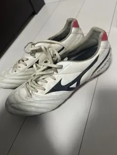 モナルシーダ NEO SW KL ワイド　4E 27.5cm