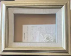 Item thumbnail for item 2fcda377-e4c4-4b65-b80a-cb52847d1705