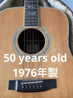 K. Yairi 　ケーヤイリ　YW-600 アコースティックギター K.YAIRI YW-600|ドルフィンギターズ