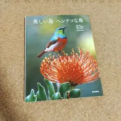 美しい鳥 ヘンテコな鳥　川上和人