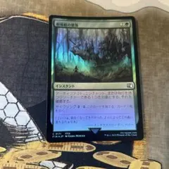 MTG サングラスの大草原 日本語 foil - メルカリ