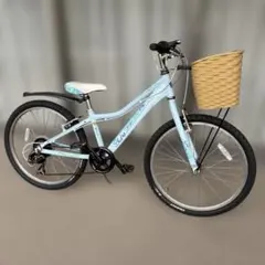 GIANT Liv AREVA 24Kids 自転車★東京23区内引き取り希望★のサムネイル
