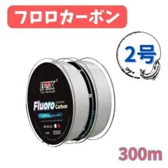 Item thumbnail for item c1730a00-756e-4143-9a38-95ef1f5f00f6