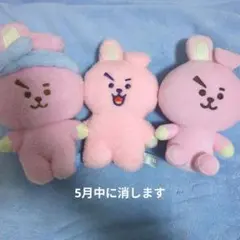 Cooky ぬいぐるみ 3体セット