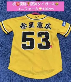 阪神タイガース⭐︎120cm⭐︎53 赤星選手