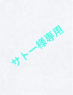 サトー様 リクエスト 6点 まとめ商品