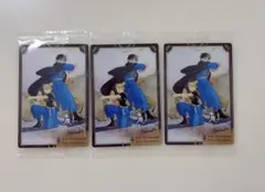 鋼の錬金術師 ウエハース カード ロイ リザ